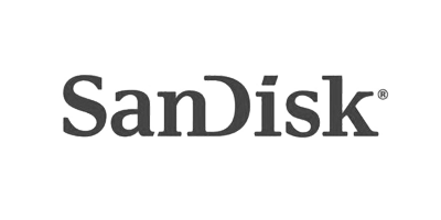 SanDisk-g